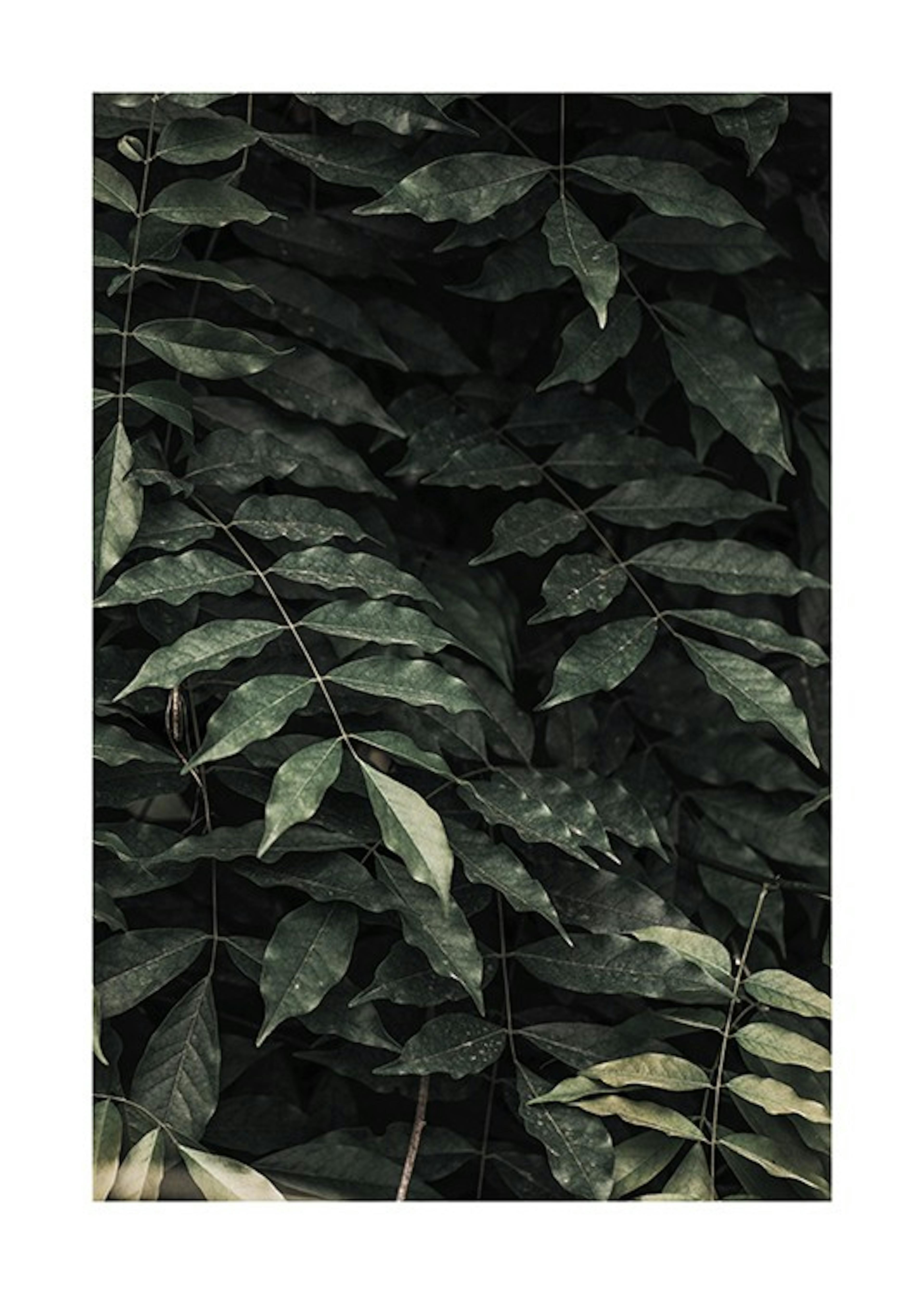 Dark Green Leaves Print 0