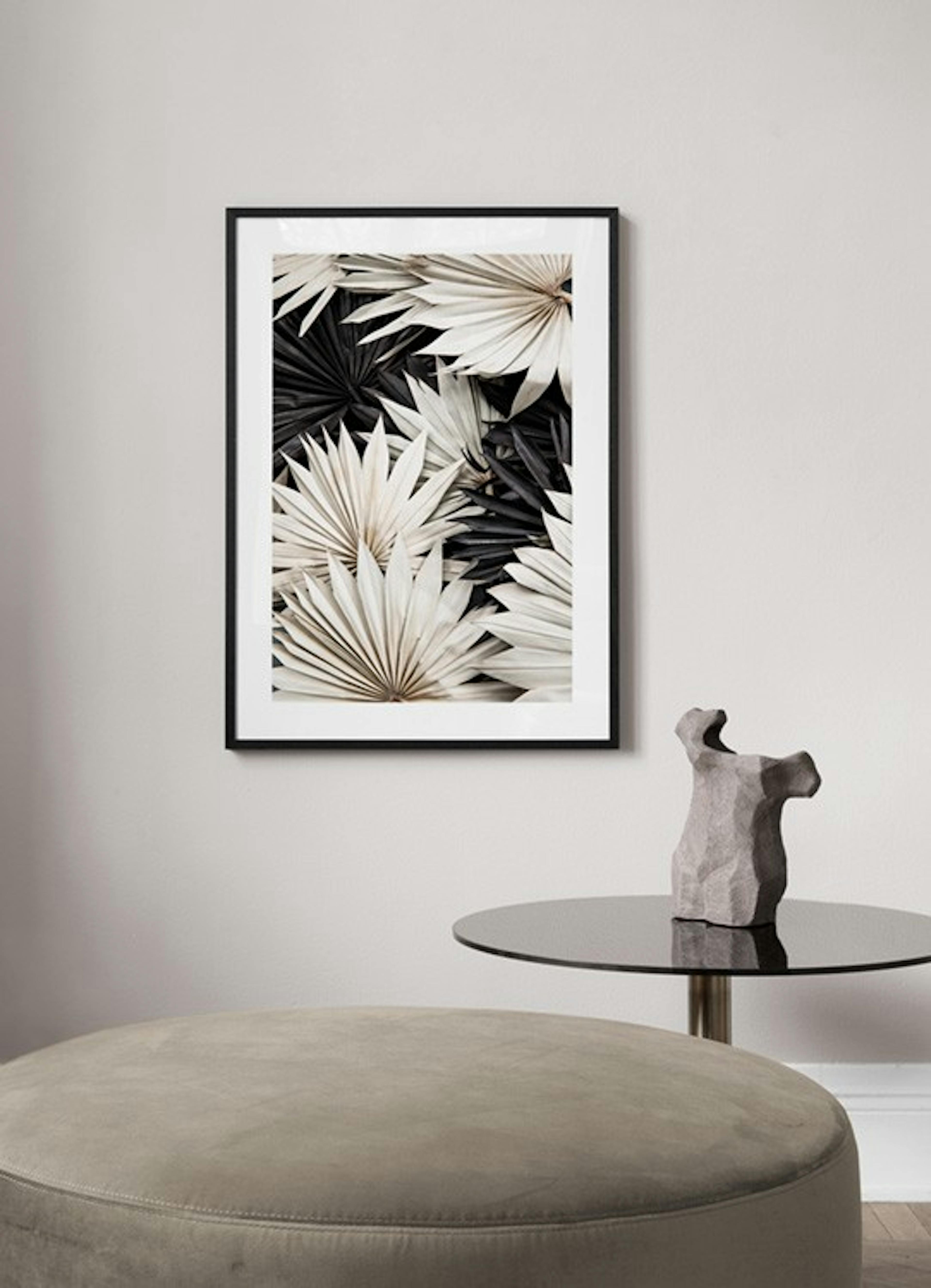 Contrasting Palm Poster