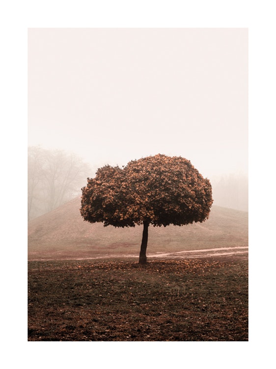 Misty Tree Poster 0