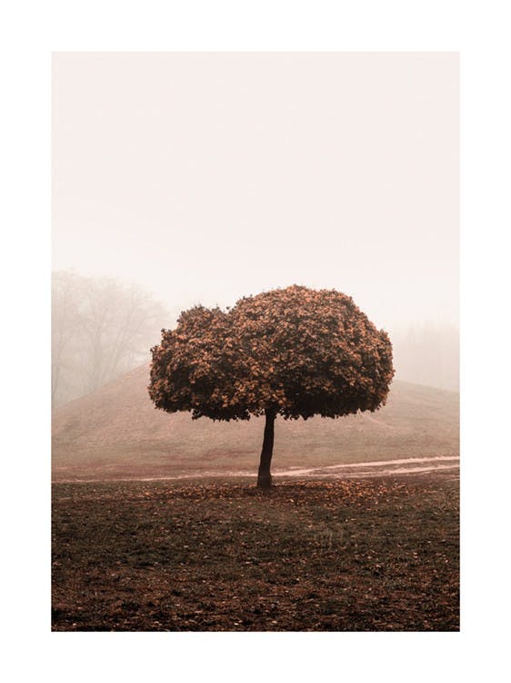 Misty Tree 포스터 0