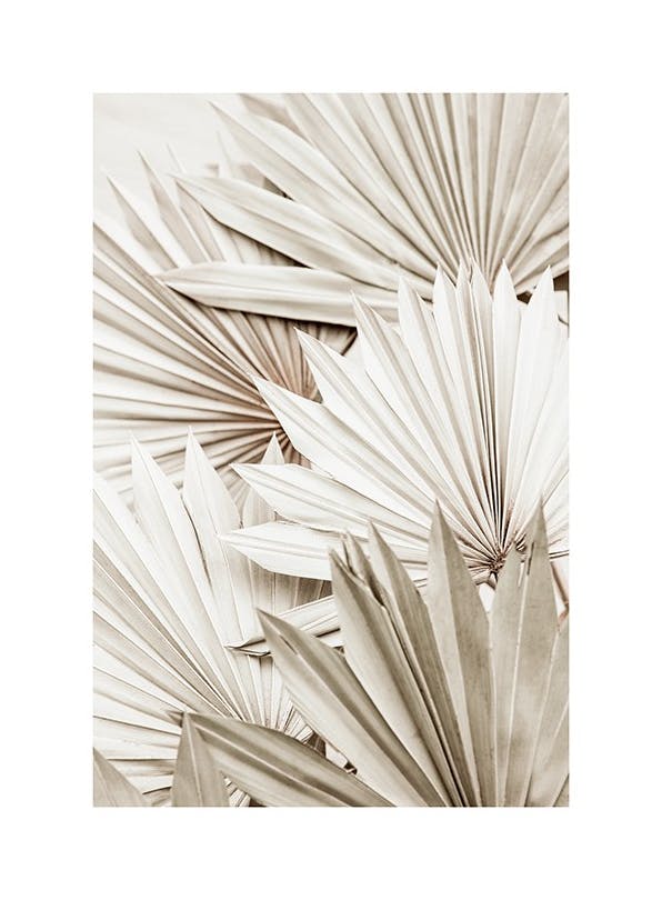 White Palm Poster (70x100 cm)- Poster di fiori & piante