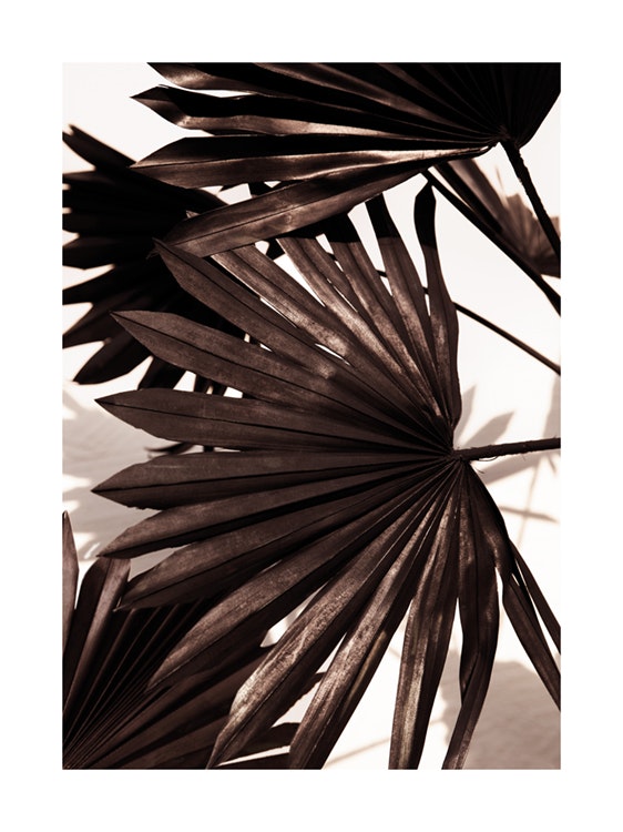 Black Palm Poster 0