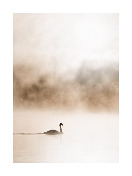 Gliding Swan Plakat 0