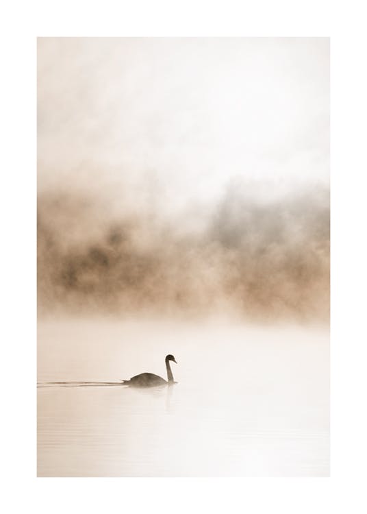 Gliding Swan 포스터 0