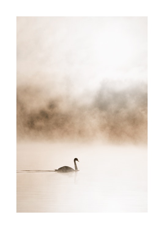 Gliding Swan Plakat 0