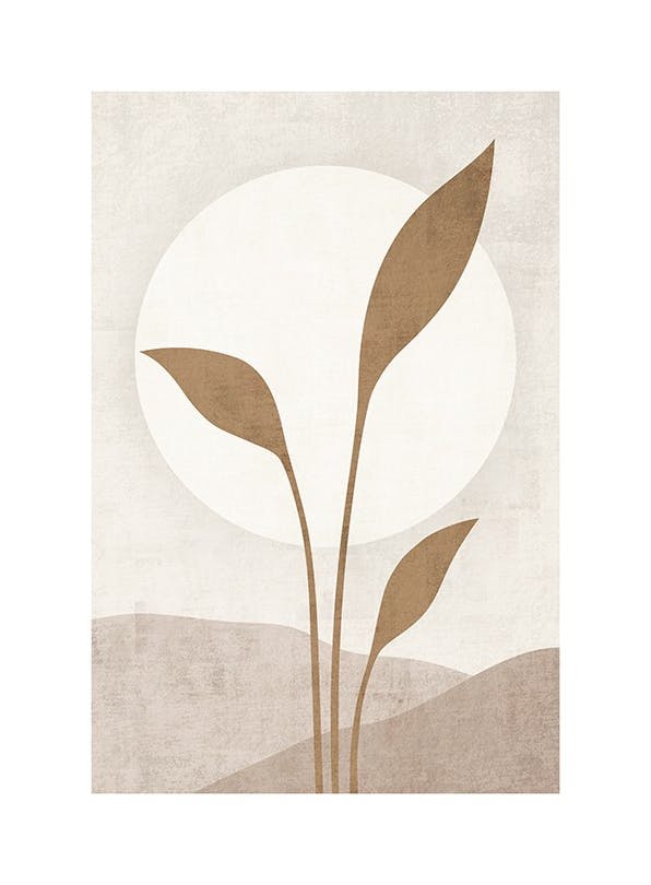 Prints - Beige Solar Print (30x40 cm) - Botanical prints