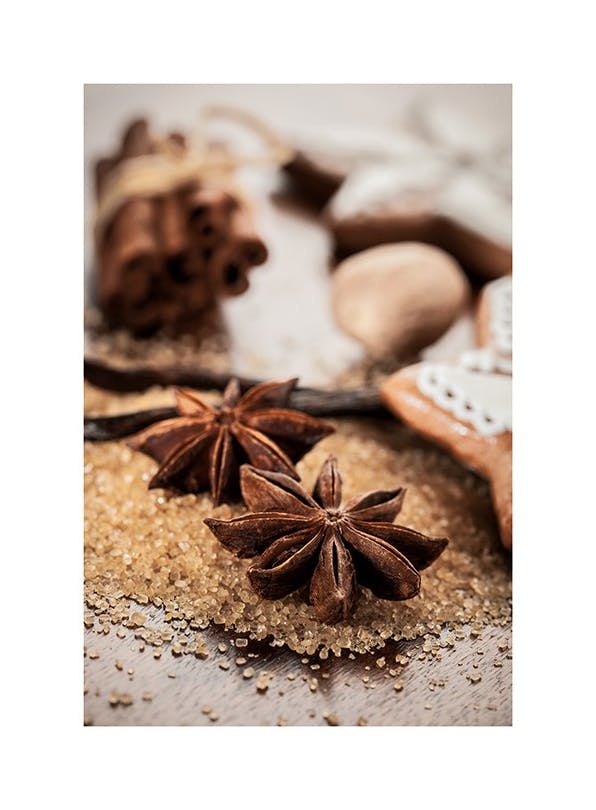 Anis & Cinnamon Print (21x30 cm)