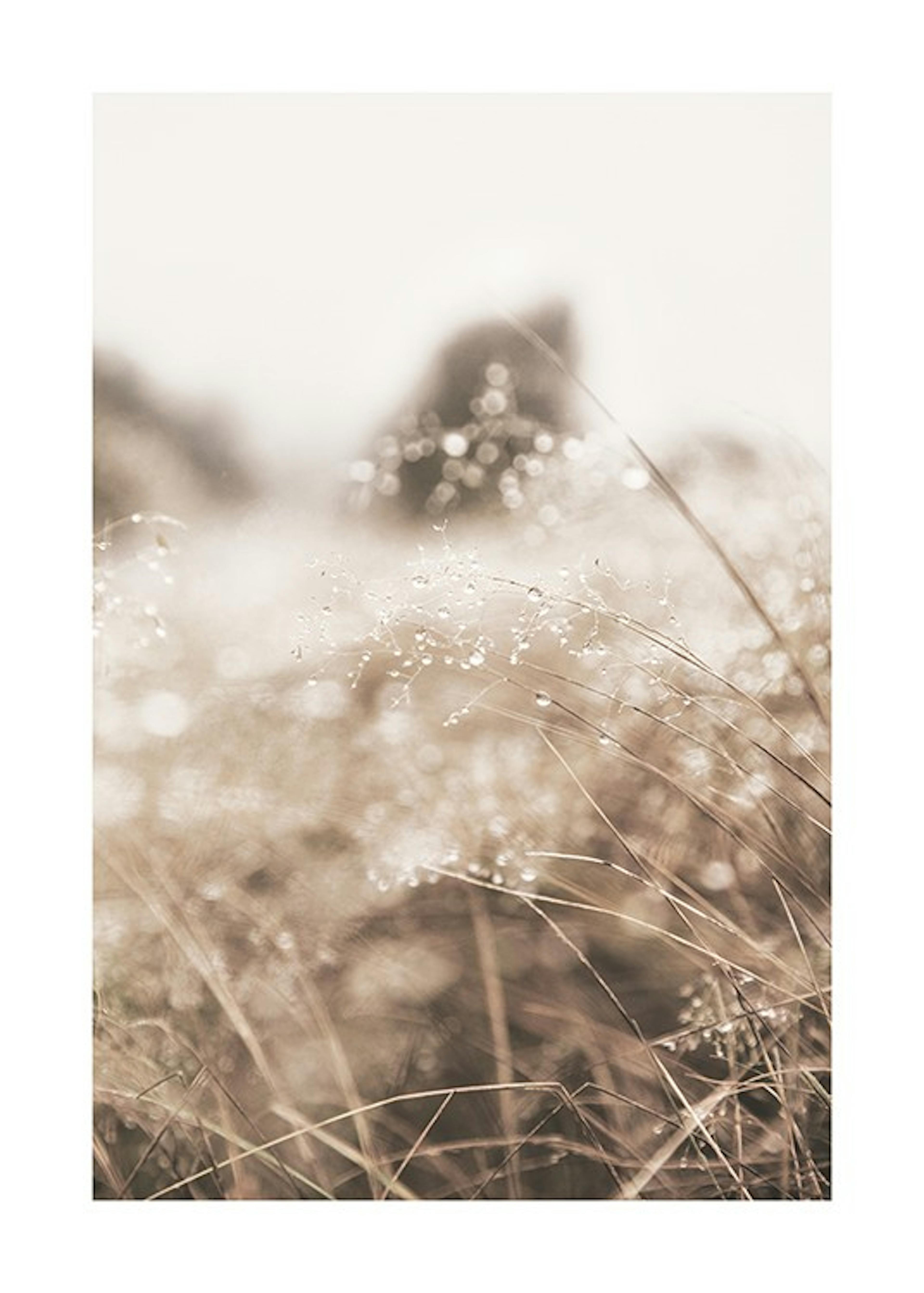 Dried Grass on Field No2 Print 0