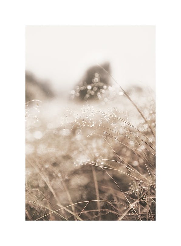 Dried Grass on Field No2 Poster (50x70 cm)-Poster