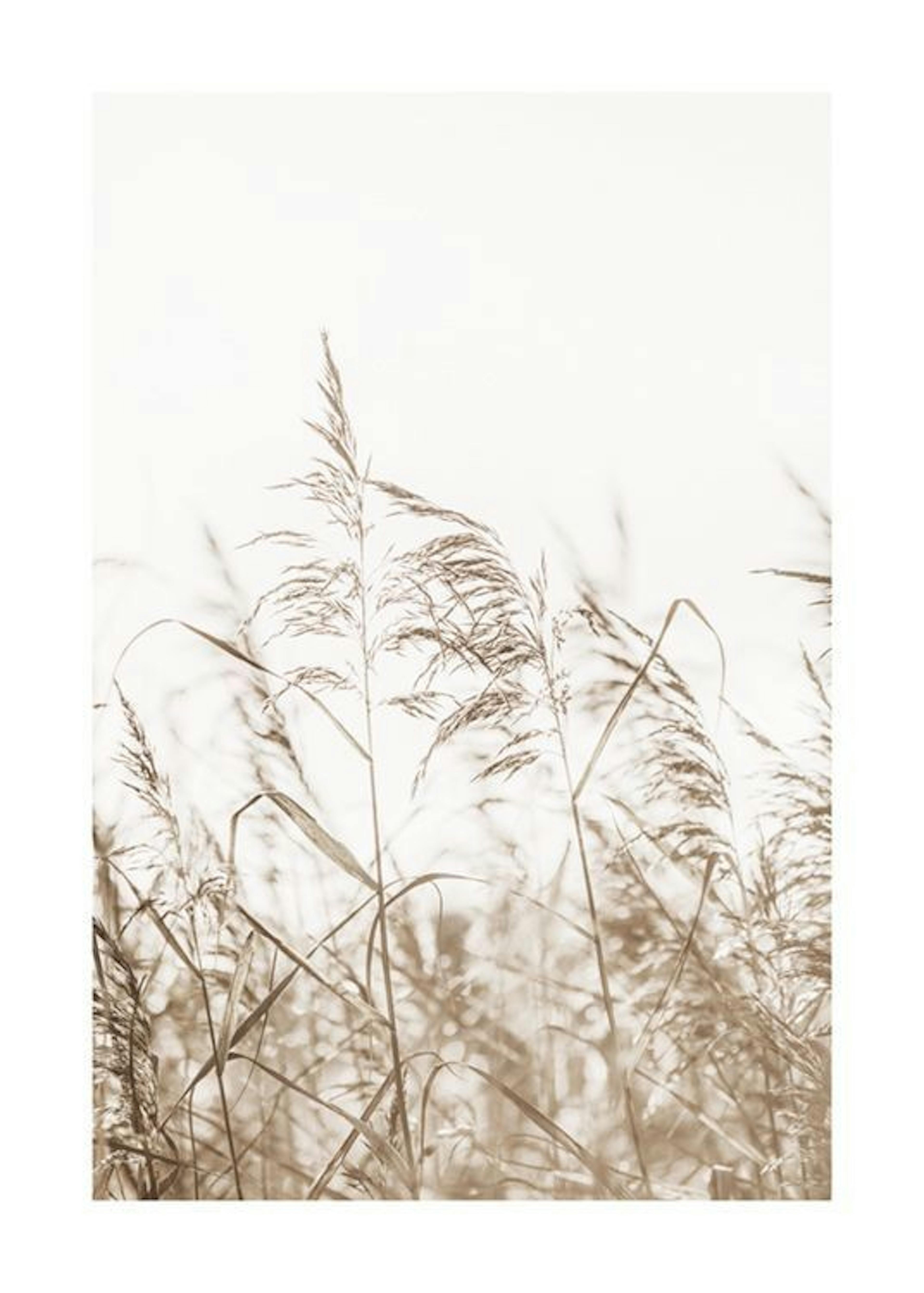 Dried Grass on Field No3 Plakát 0