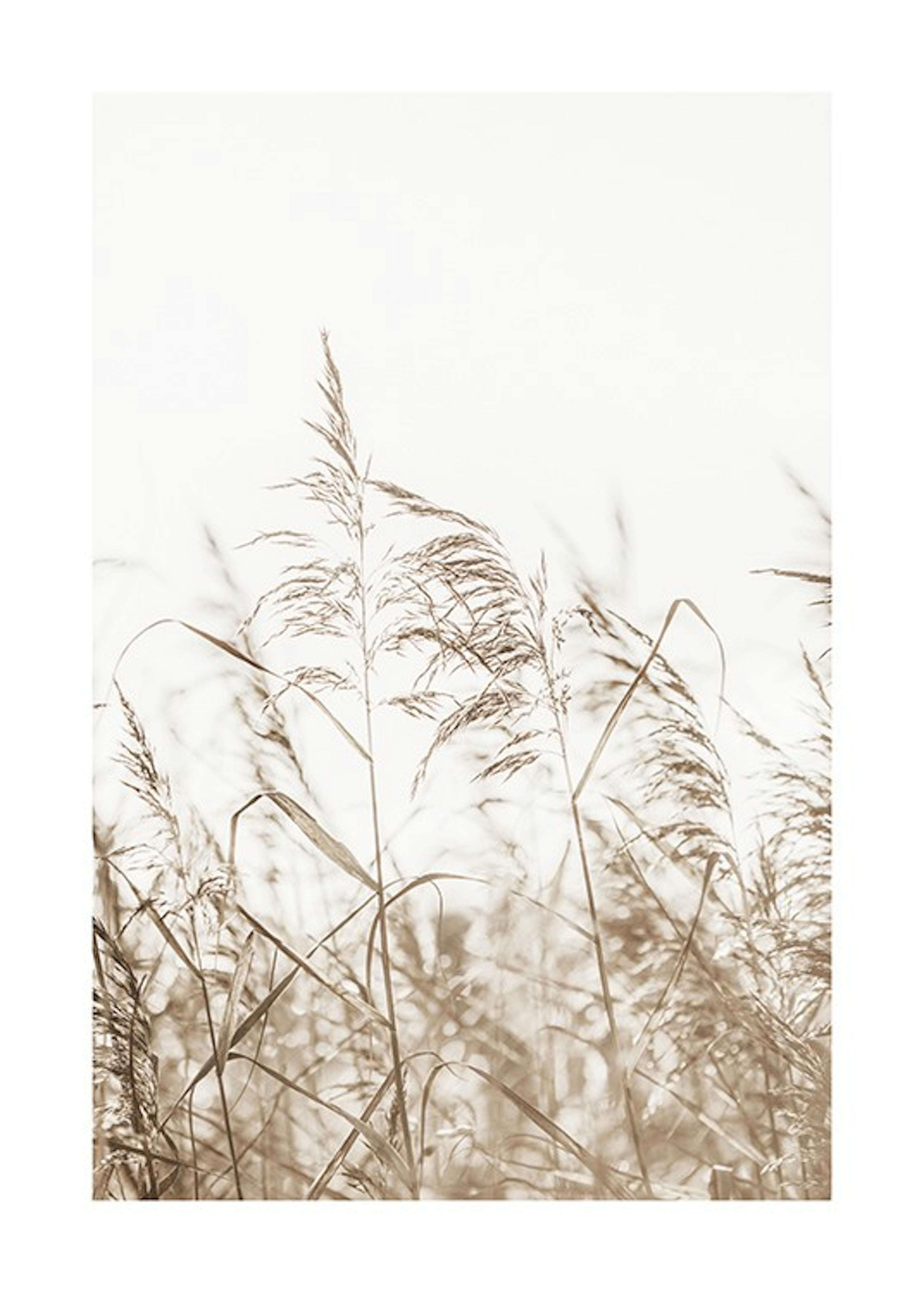 Dried Grass on Field No3 Print