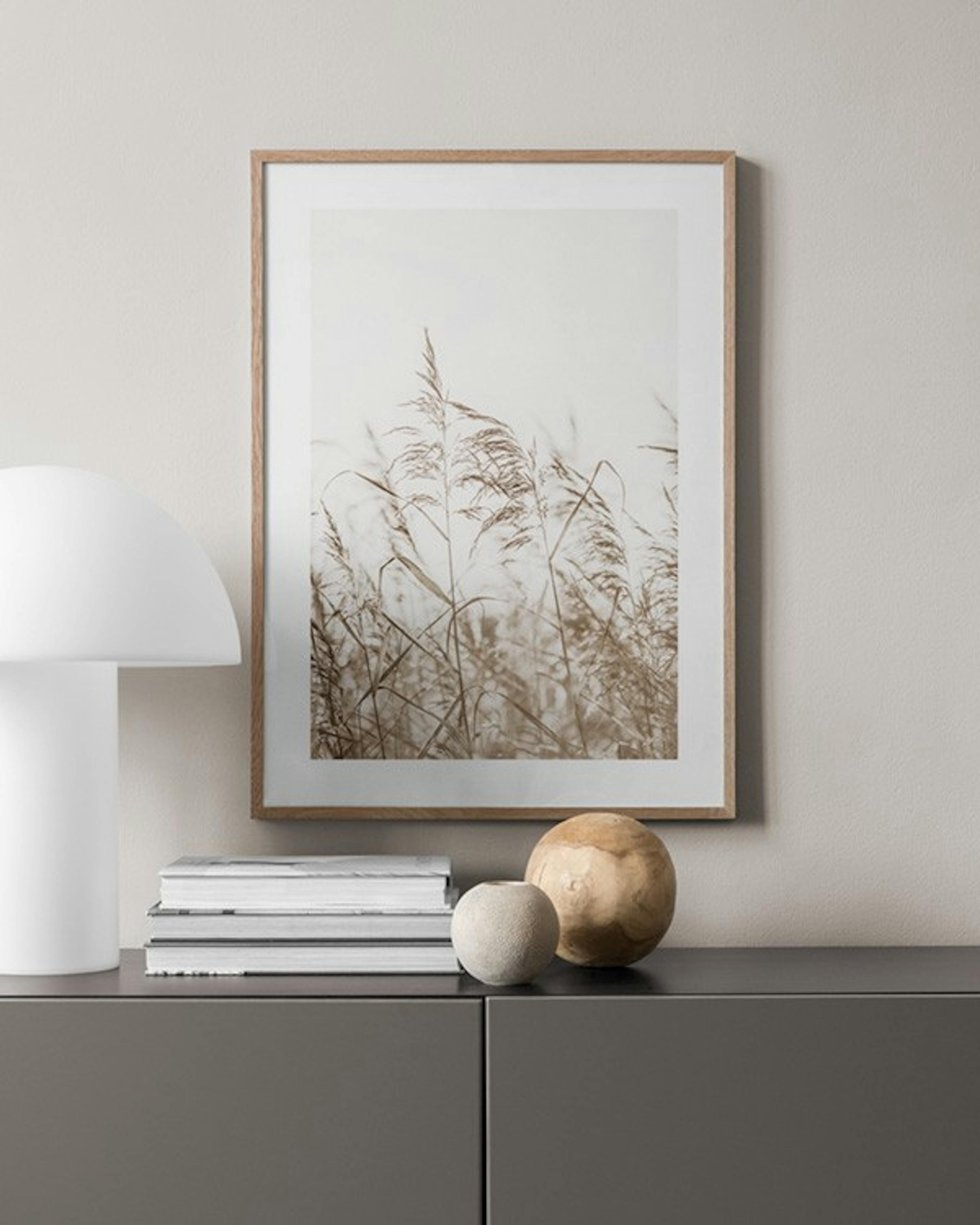 Dried Grass on Field No3 Affiche