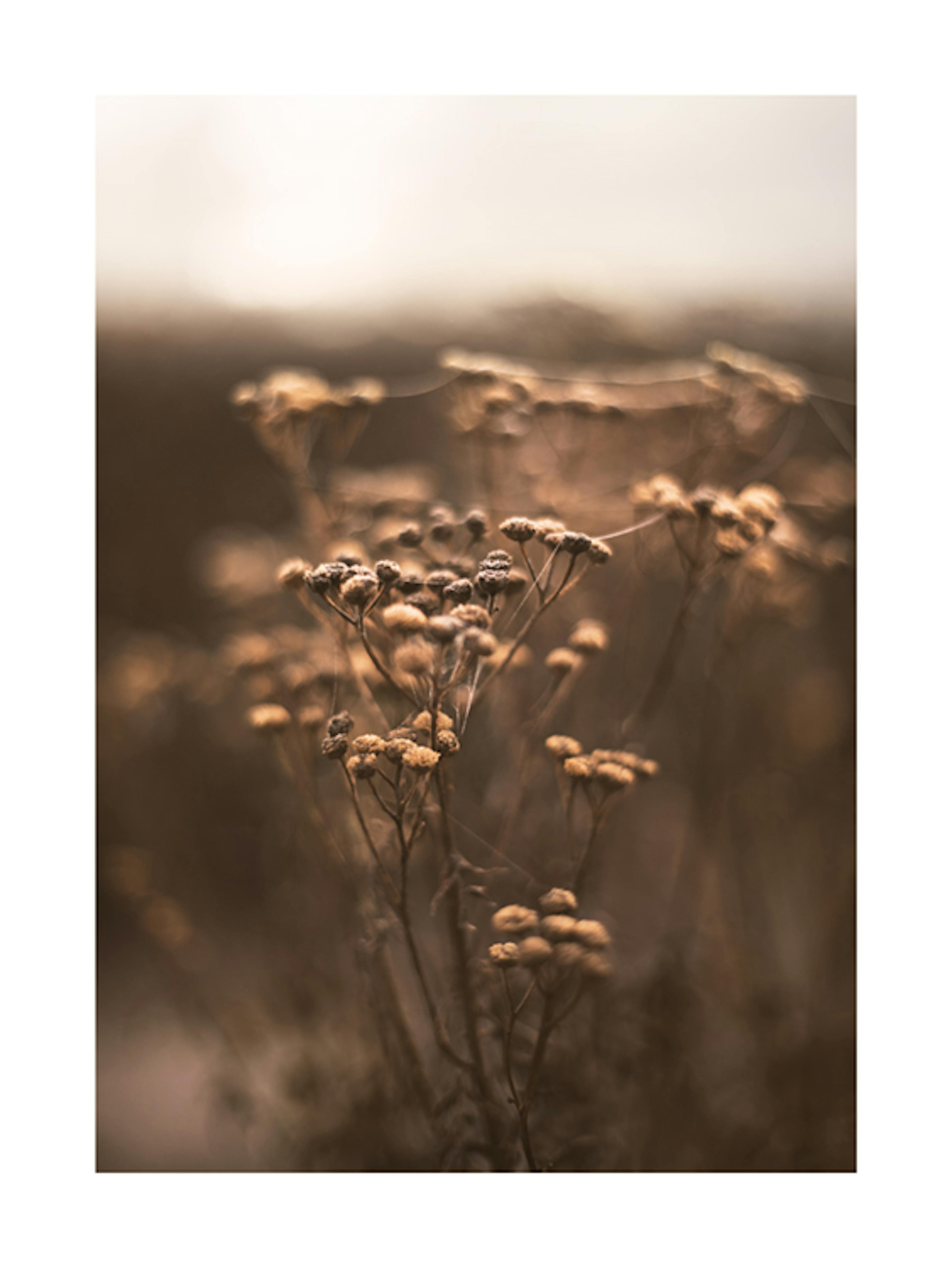 Brown Botanical No1 Poster 0