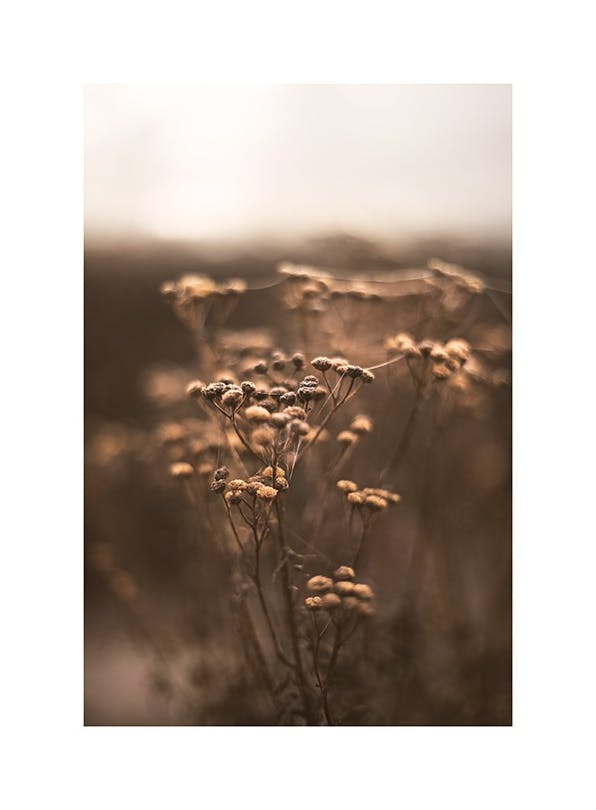 Brown Botanical No1 Affiche (21x30 cm)