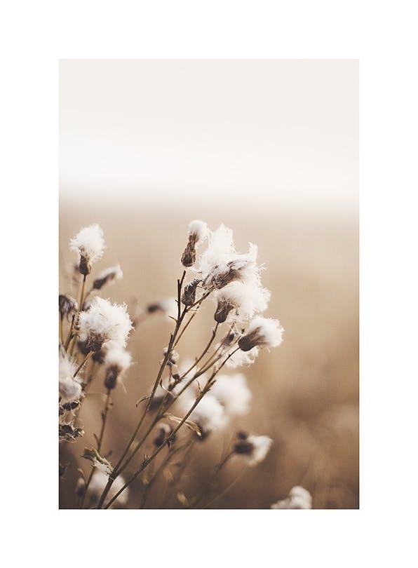 Moody Flowers Poster (70x100 cm)-Poster