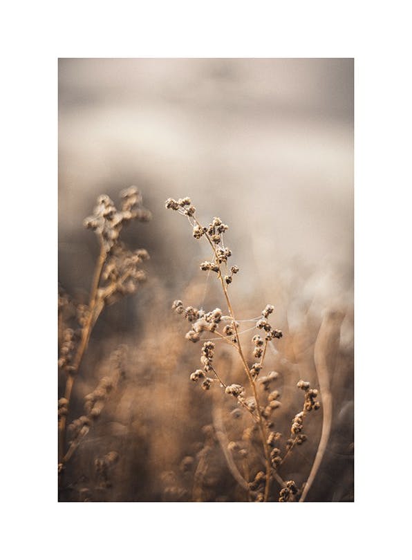 Brown Botanical No2 Plakat (30x40 cm)-Plakaty