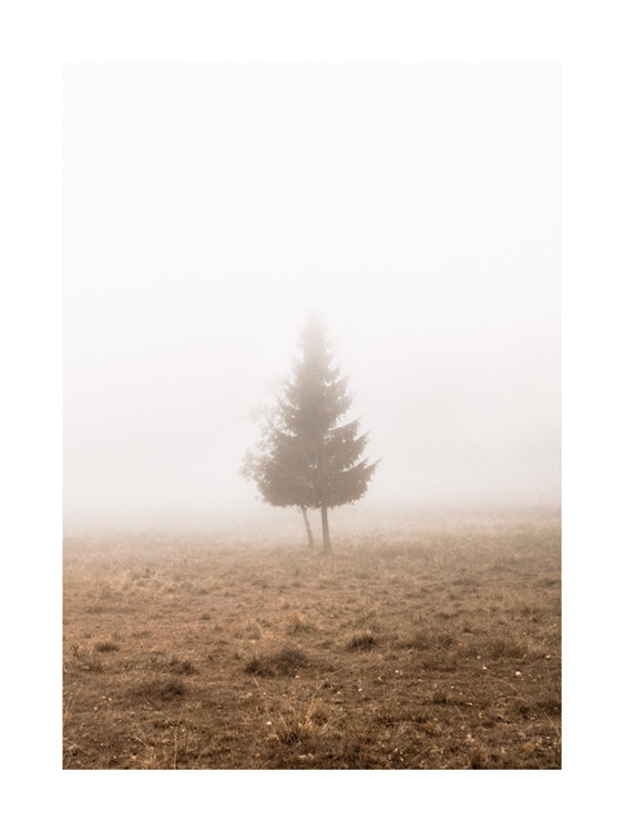 Lonely Tree in Fog Plagát 0