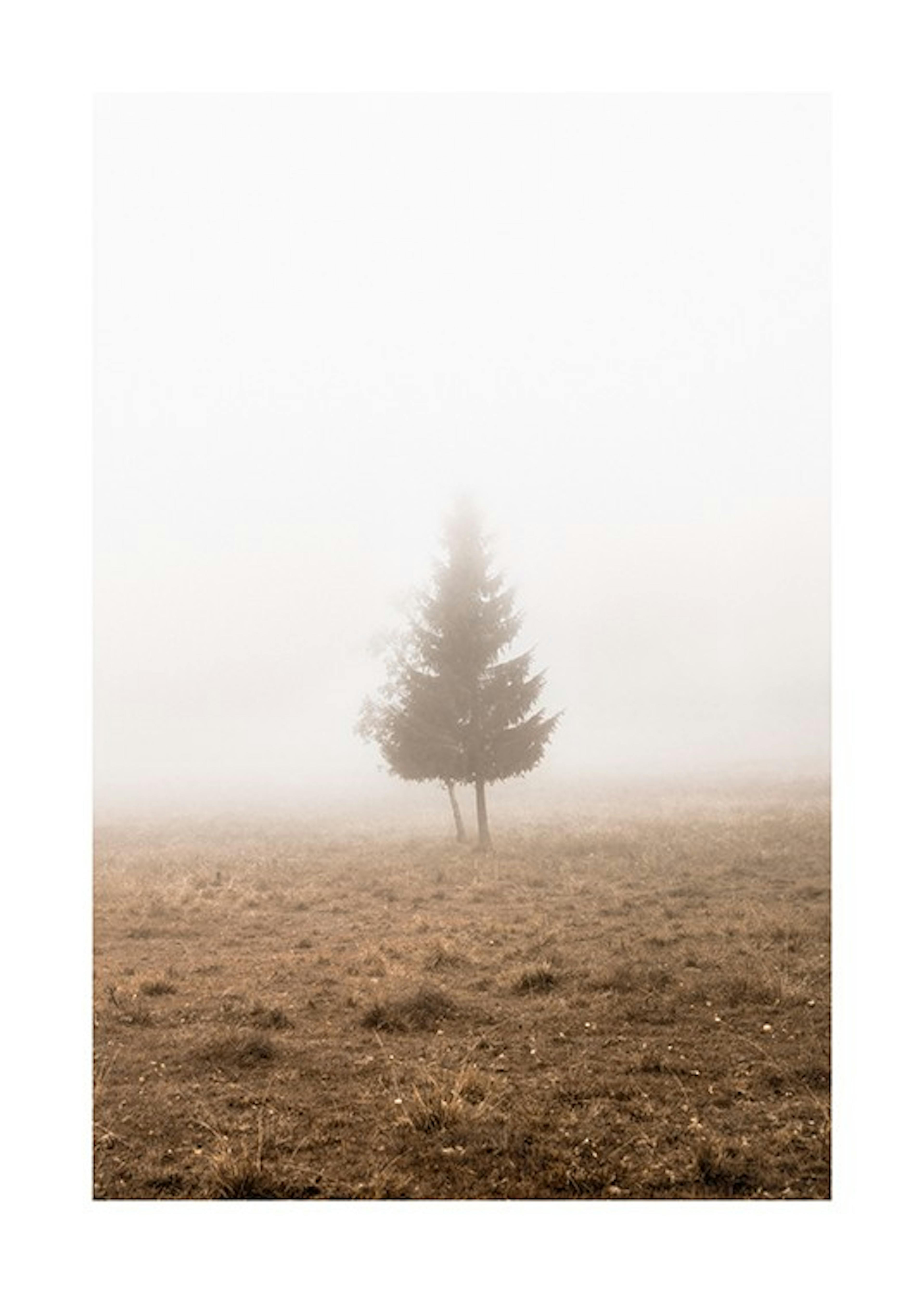 Lonely Tree in Fog Plakat 0