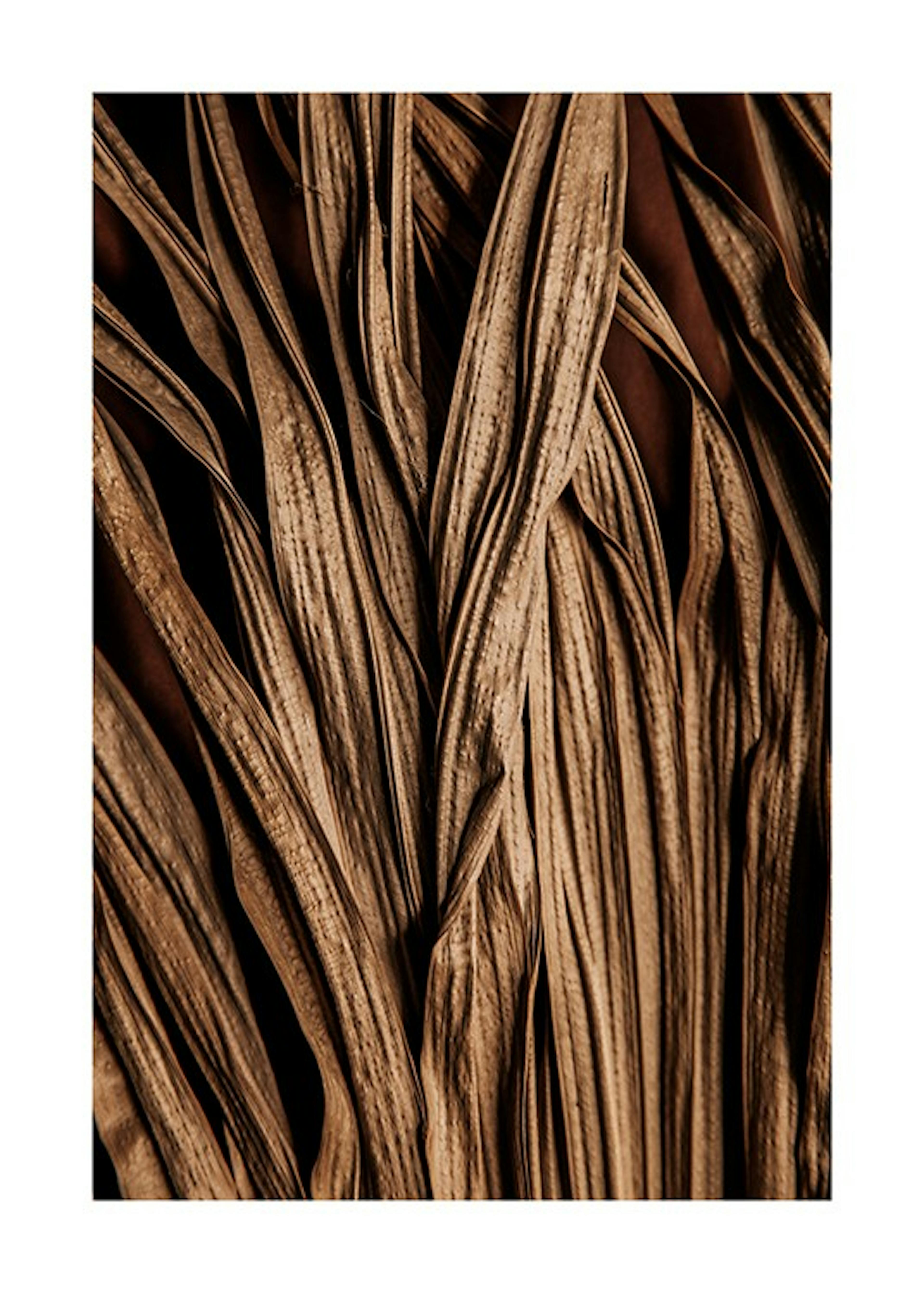 Brown Leaves Close Up Print