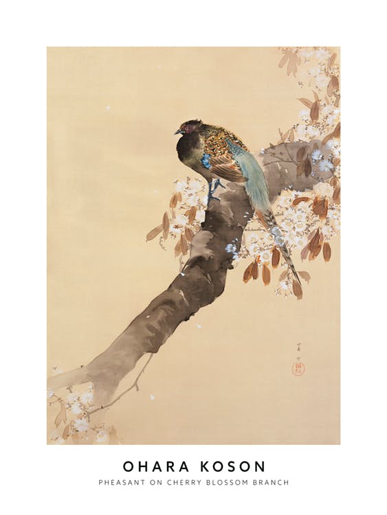 Ohara Koson - Pheasant on Cherry Blossom Branch Plagát 0