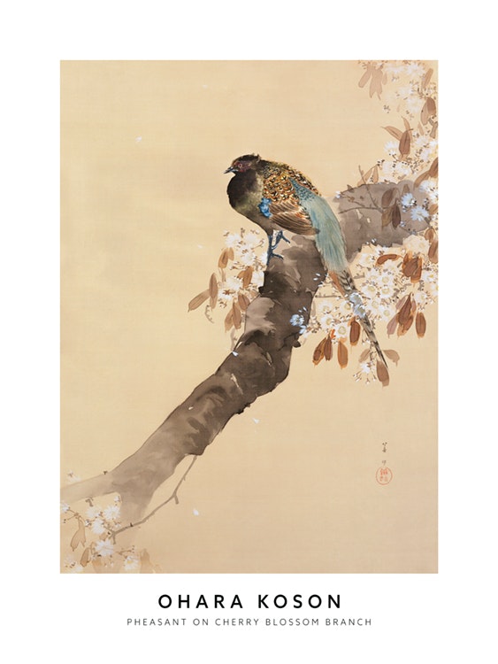 Ohara Koson - Pheasant on Cherry Blossom Branch Affiche 0