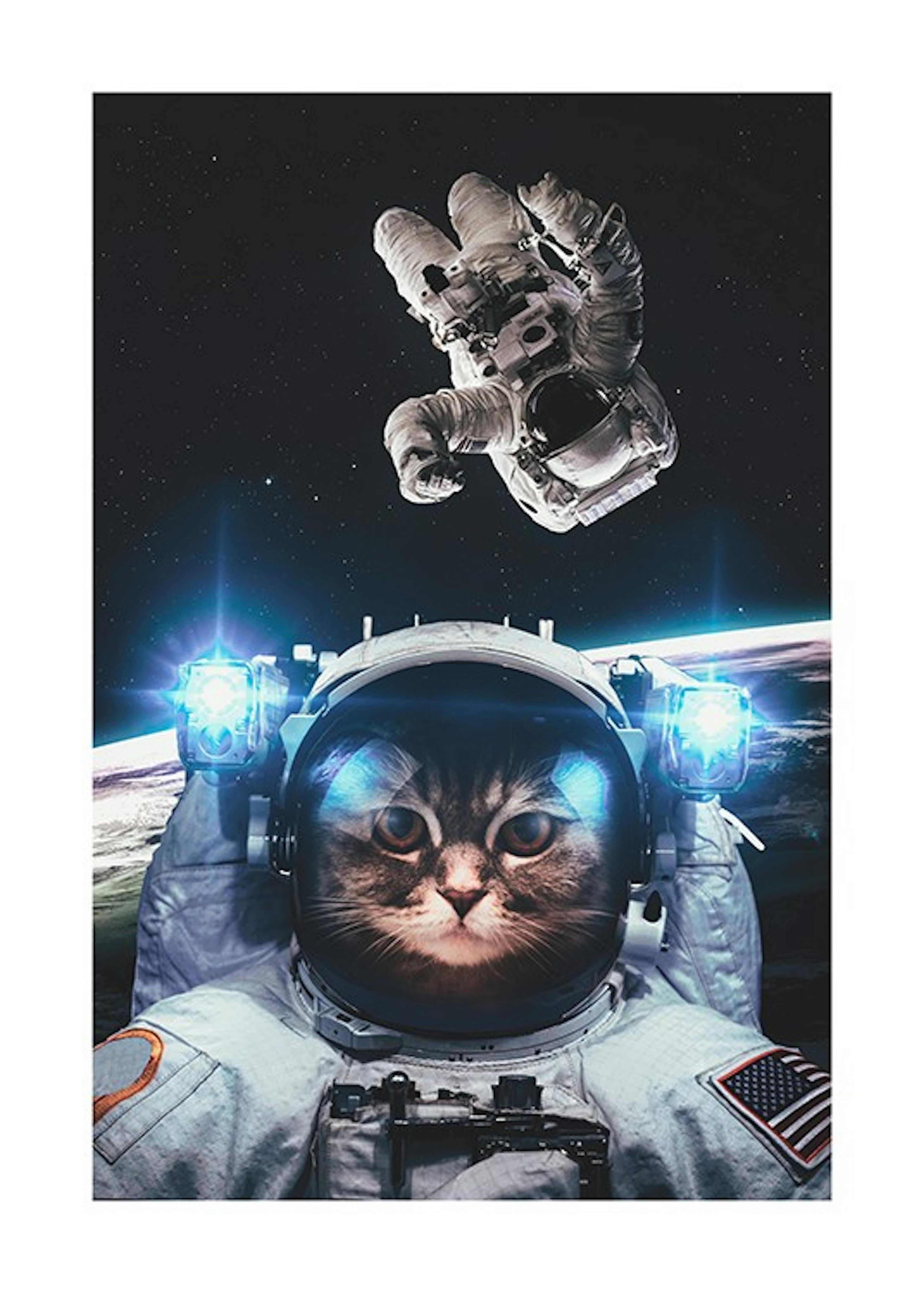 Cat in Space Poster 0