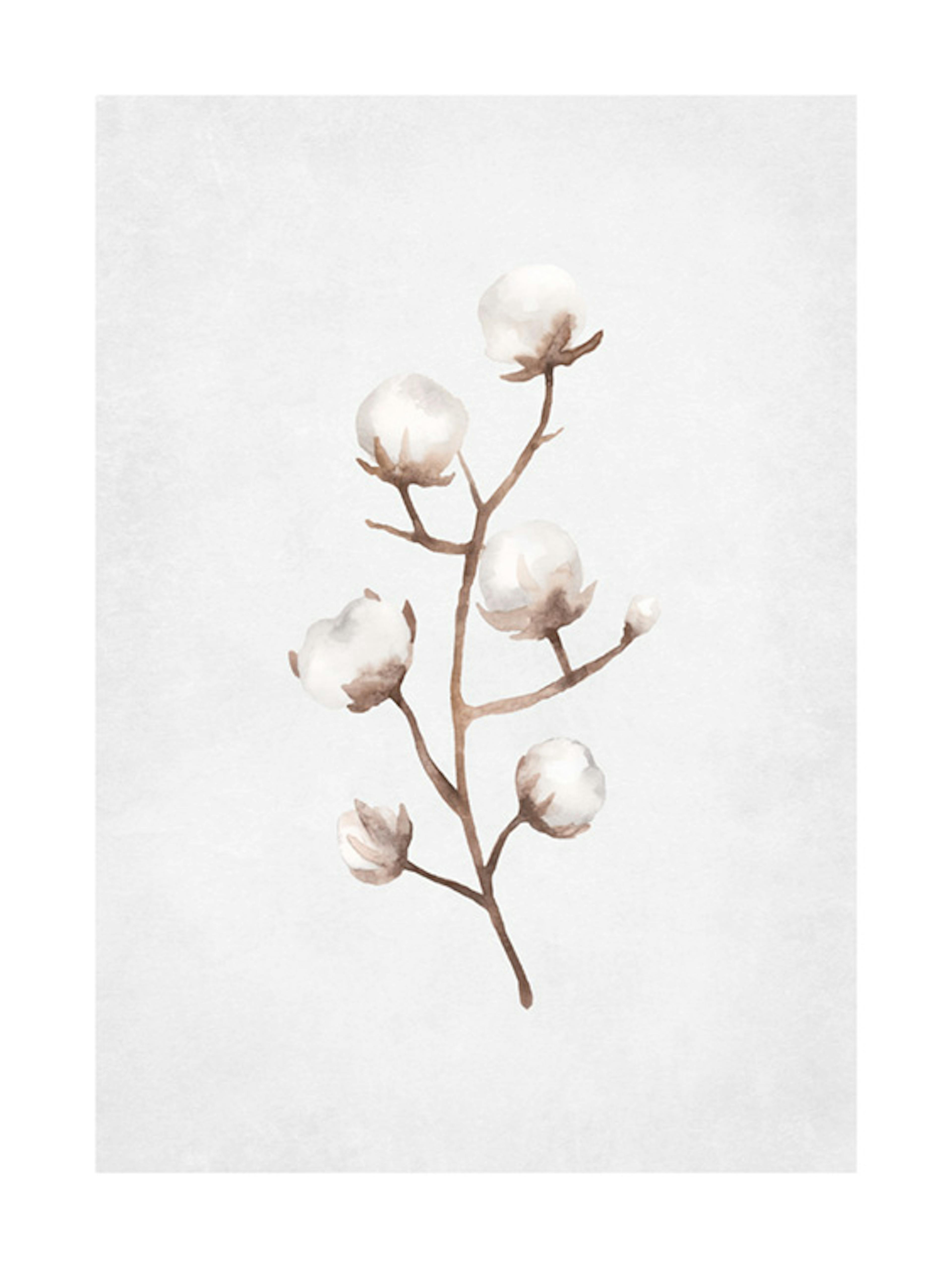 Frozen Cotton Branch Poster 0