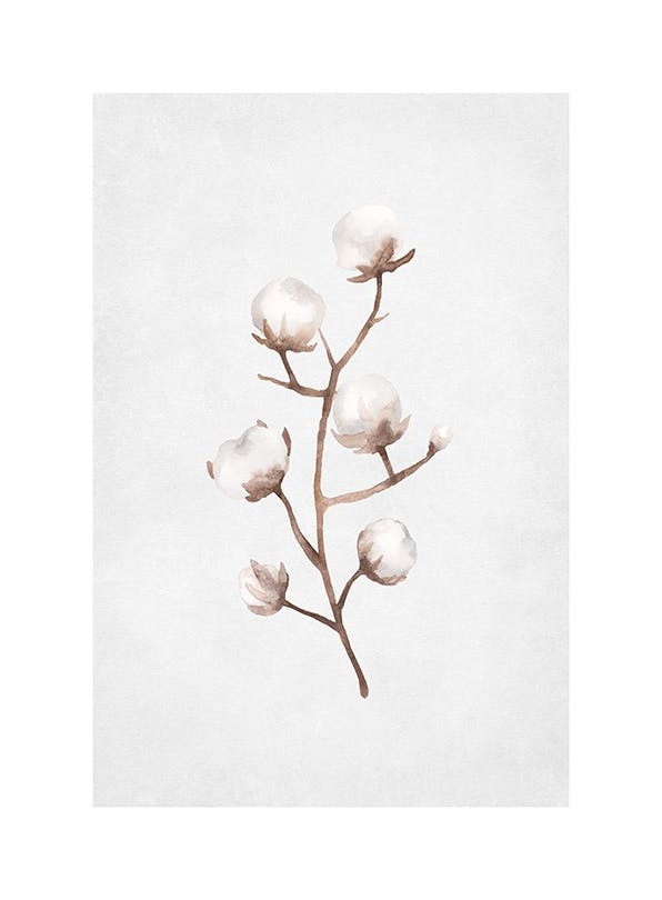 Frozen Cotton Branch Poster (30x40 cm)-Poster