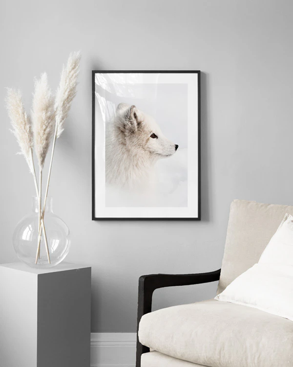 Arctic Fox Poster - Vit räv - desenio.se