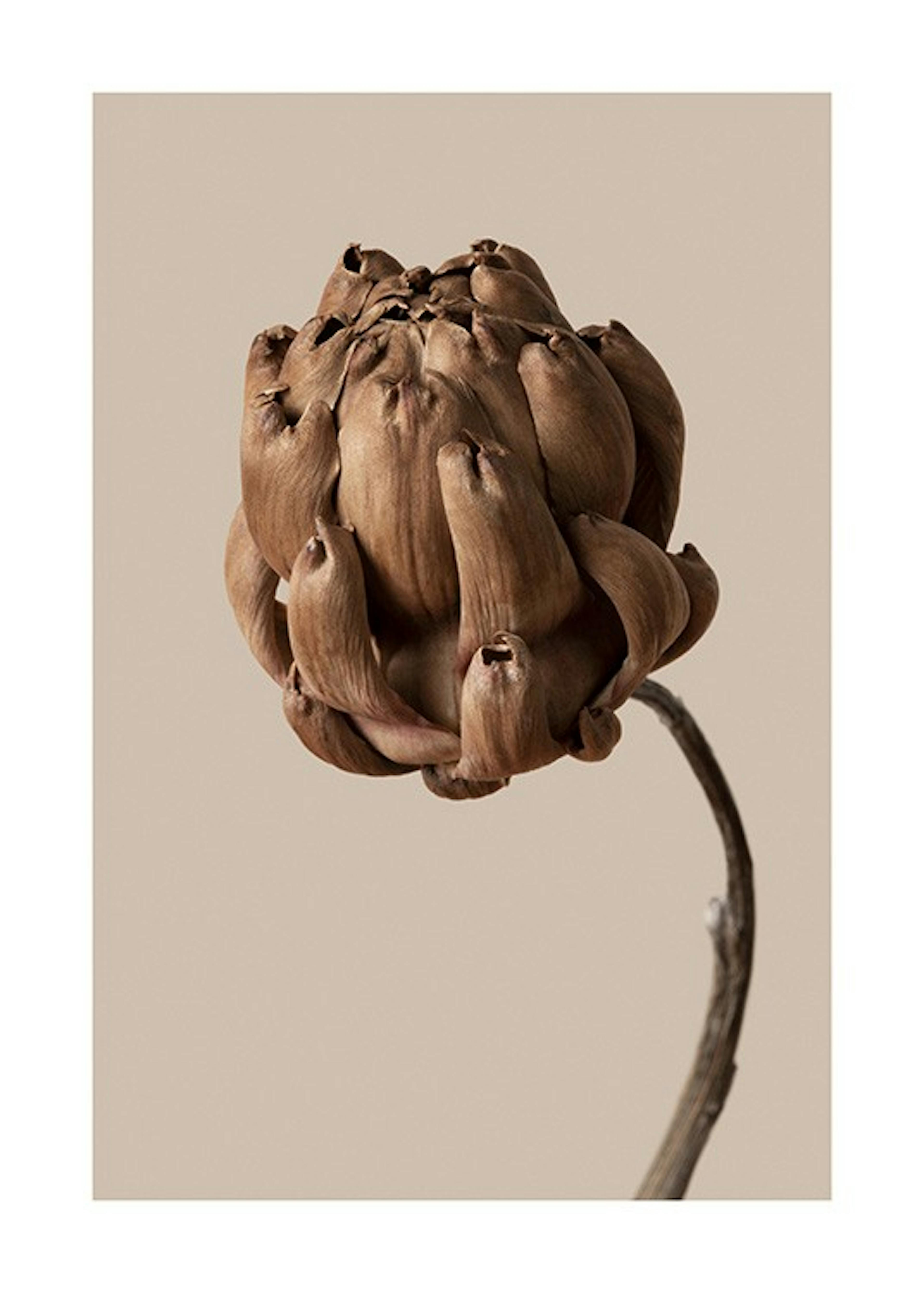 Flower in Brown Print 0