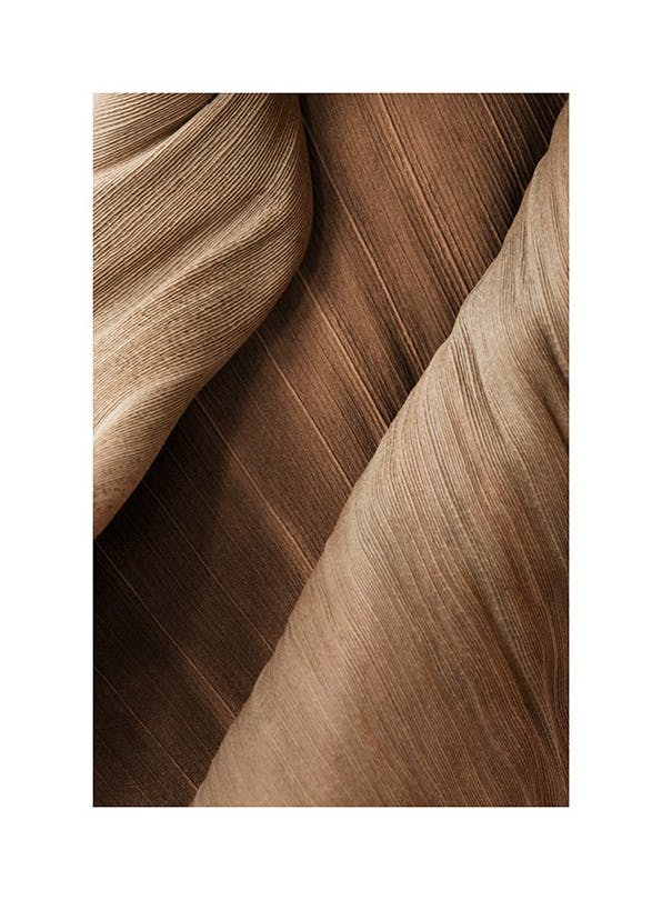 Brown Close Up Poster (30x40 cm)-Poster