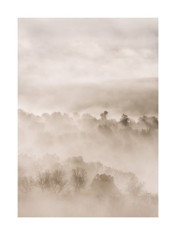 Foggy Landscape Juliste 0