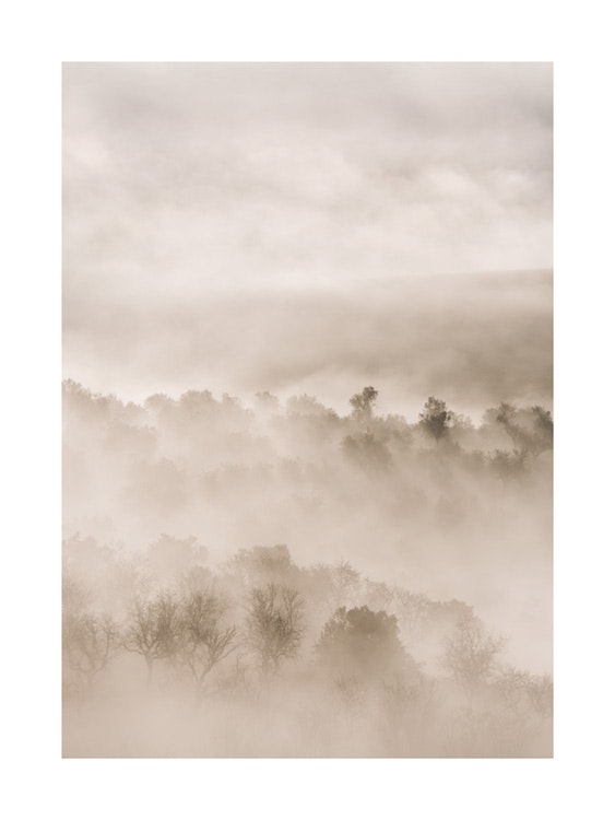 Foggy Landscape Poster 0