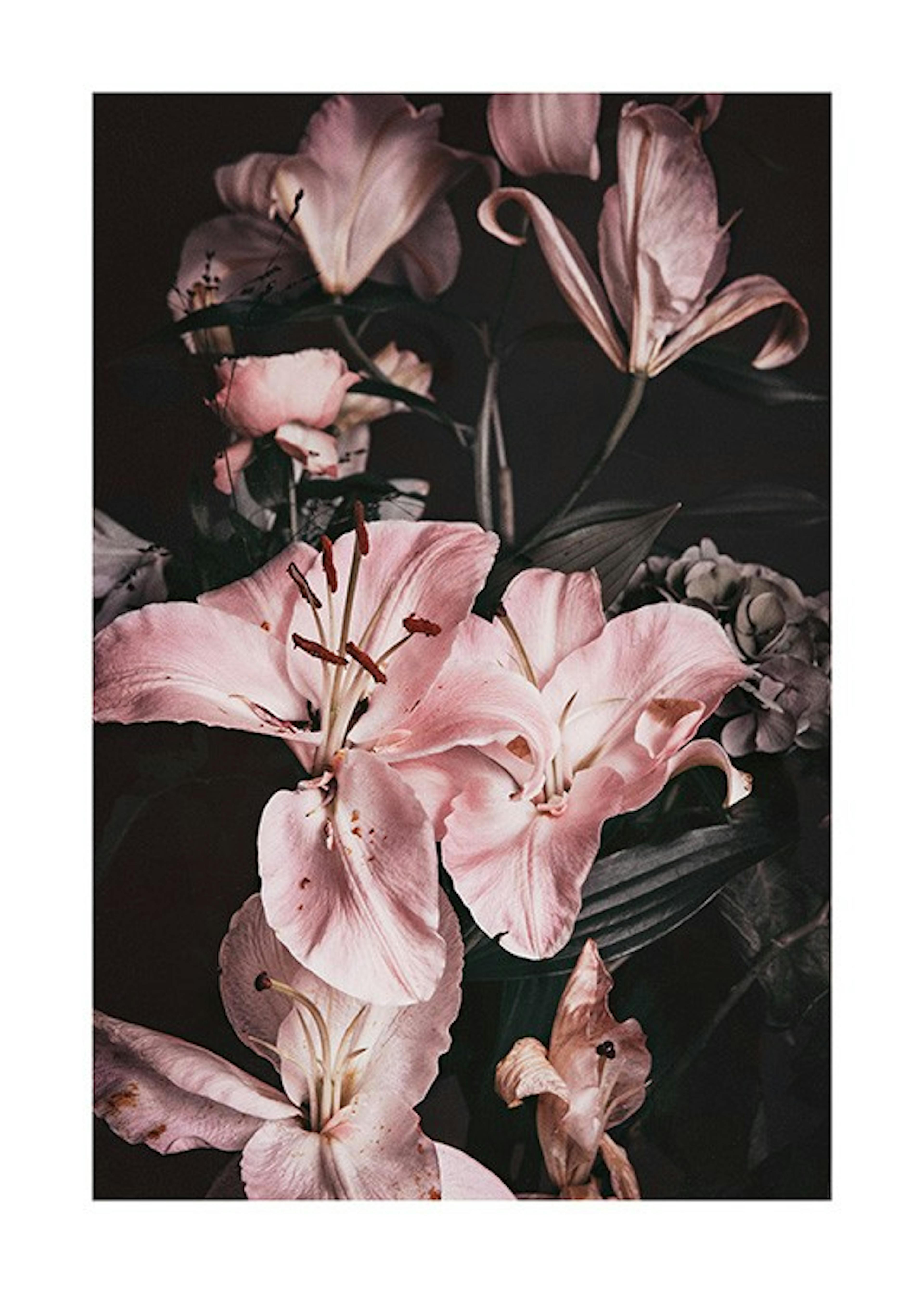 Moody Lilies Plakat 0