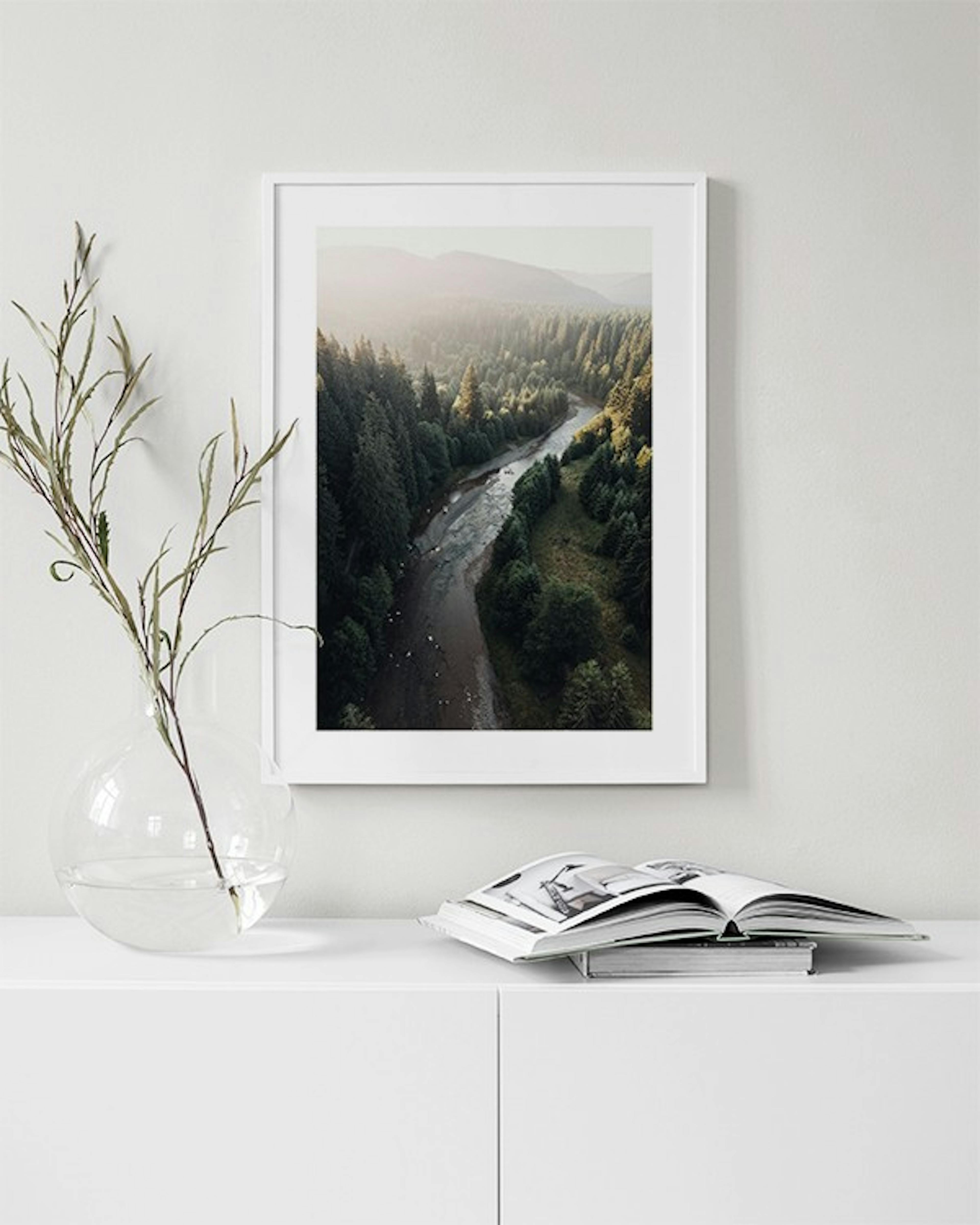 River in Forest Affiche