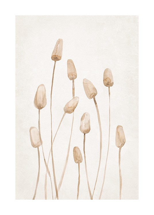 Watercolor Dried Plants Poster - Dried plants watercolour