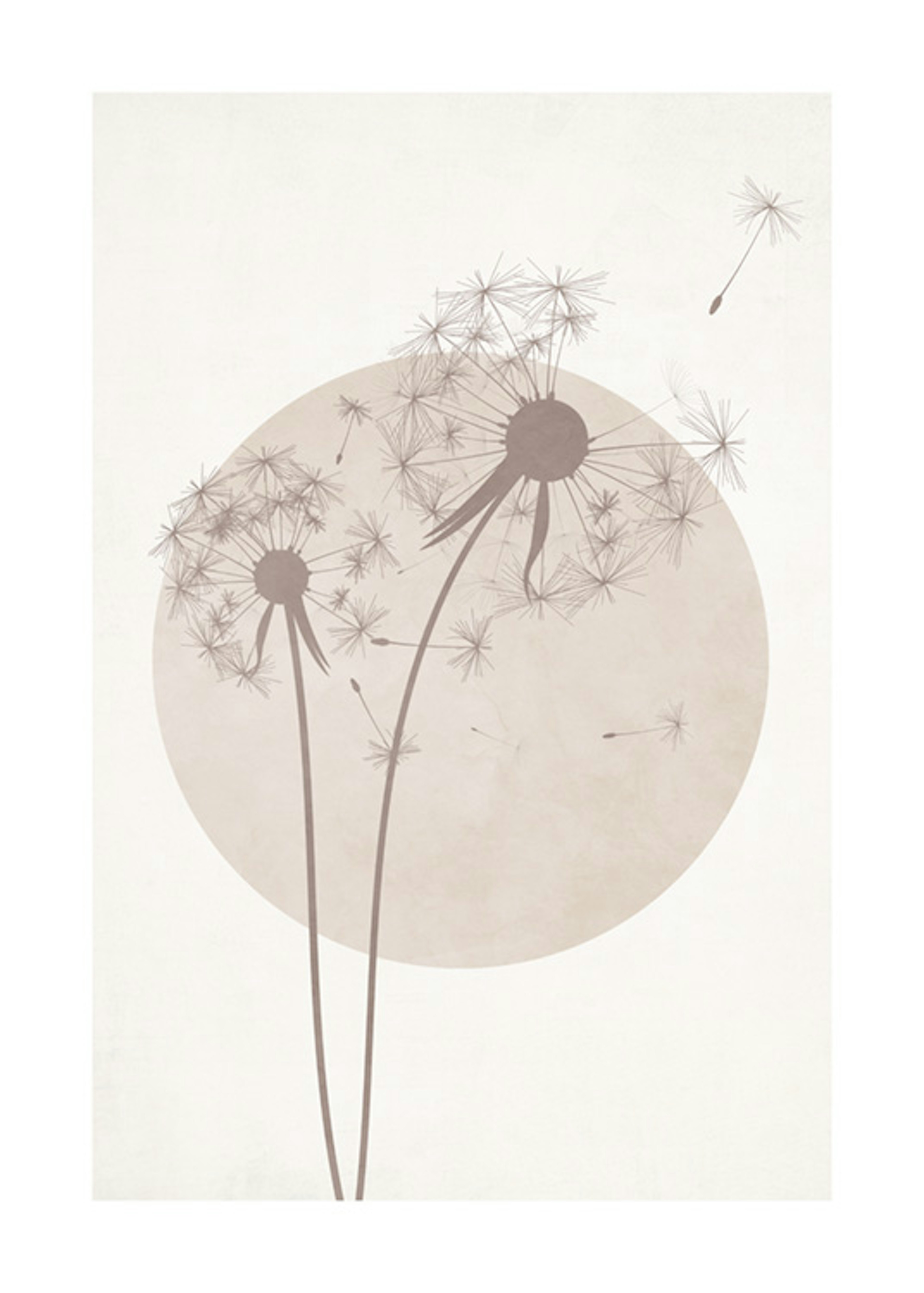 Graphic Dandelion Plakat 0
