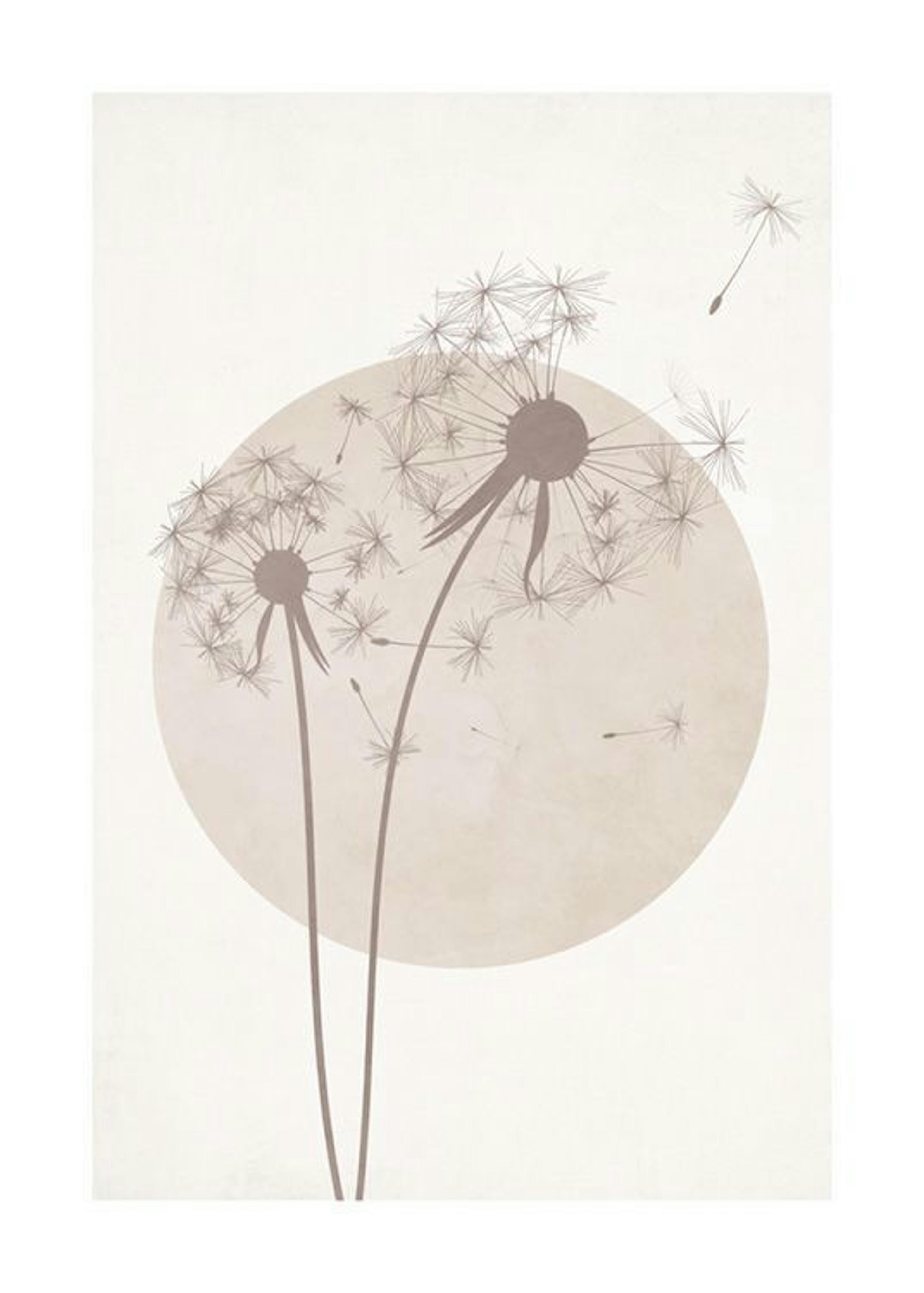 Graphic Dandelion Poster 0