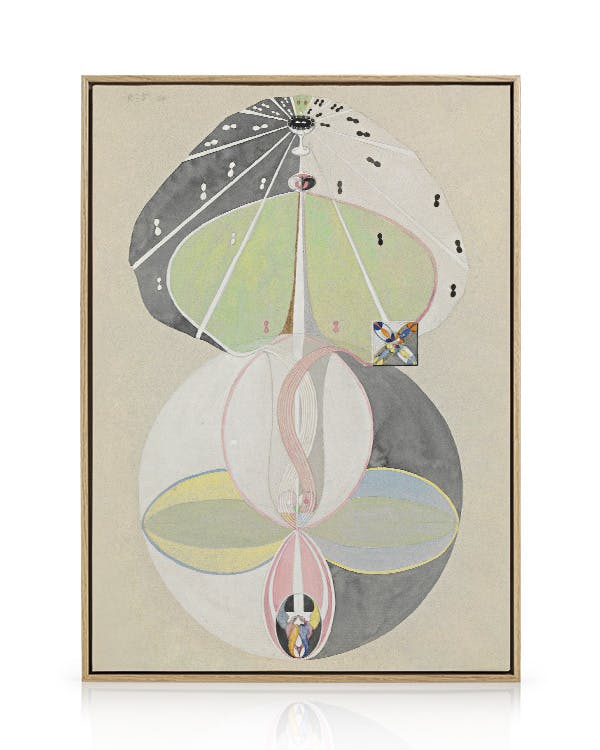 Canvas Prints Hilma Af Klint - Tree of Knowledge, No. 5 Canvas print (50x70 cm - Oak Frame)