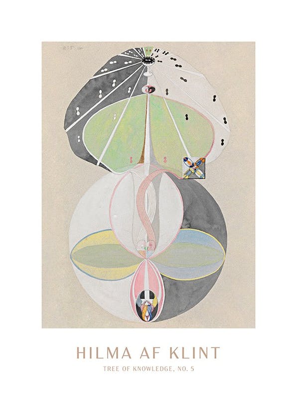 Plakat - Tree of knowledge, No. 5 by Hilma Af Klint (50x70 cm)