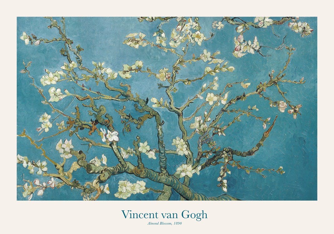 Van Gogh - Almond Blossom 포스터 0