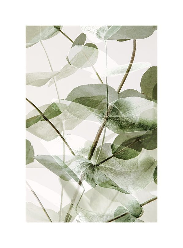 Eucalyptus Shades No1 Poster (30x40 cm) - Groene planten