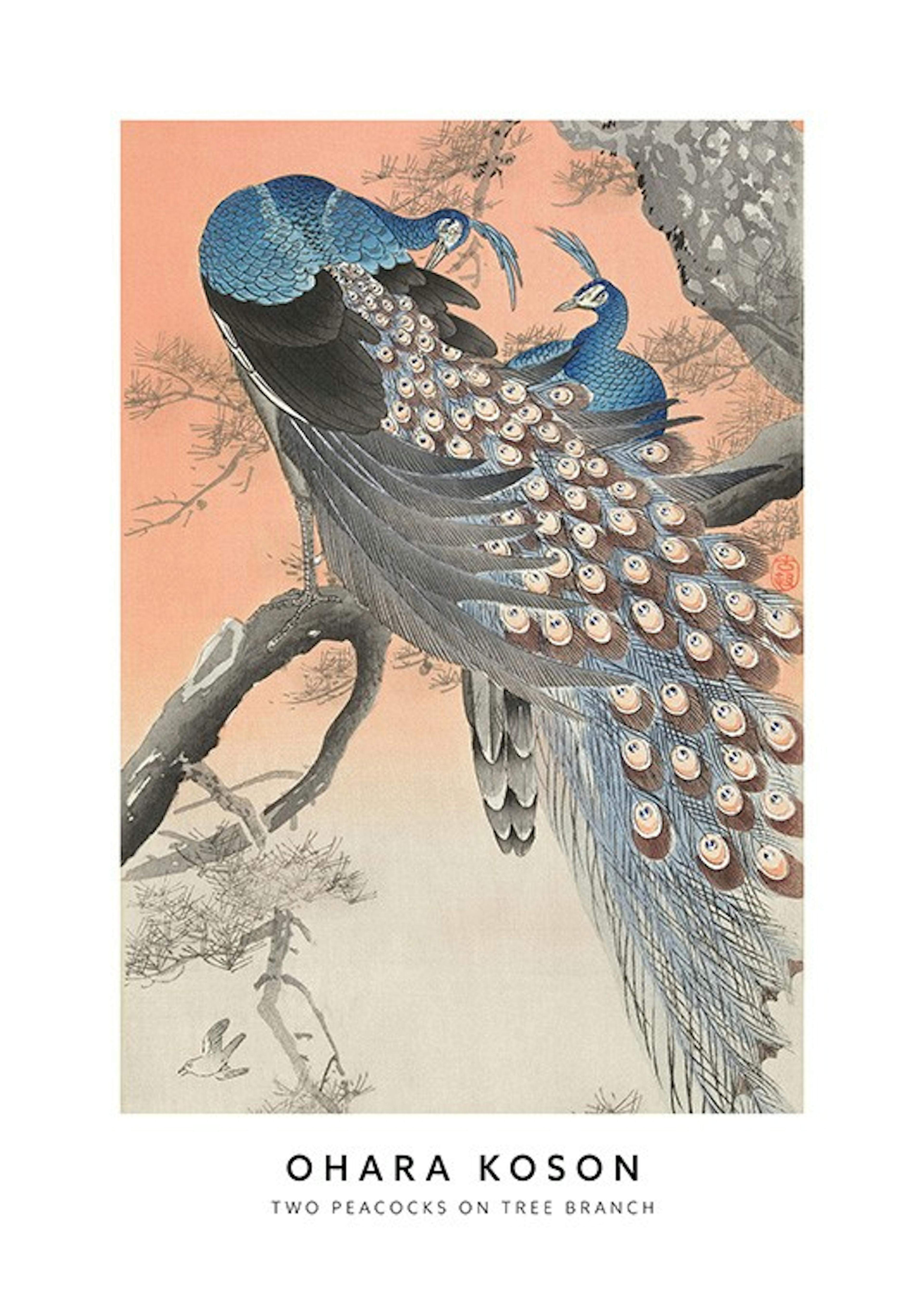 Ohara Koson - Two Peacocks on Tree Branch Plakát