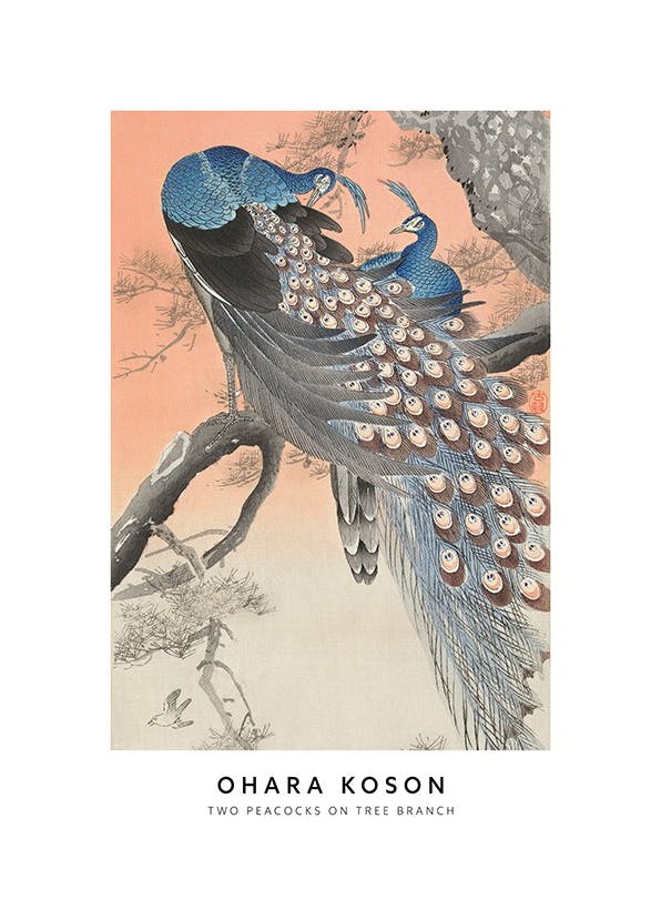 Ohara Koson - Two Peacocks on Tree Branch Affiche (50x70 cm)