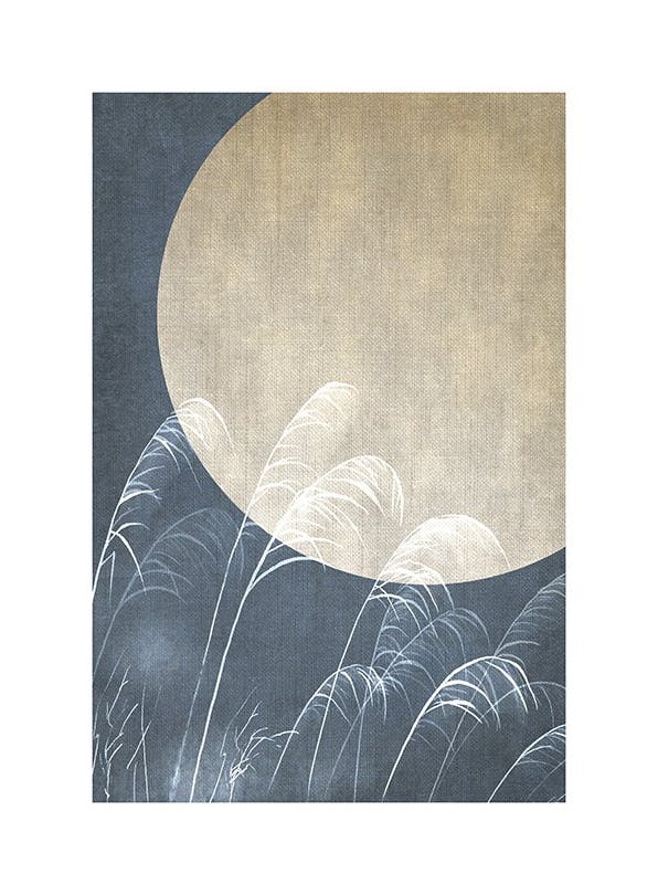 Moon Night Sky No1 Affiche (50x70 cm) - Affiches art graphique