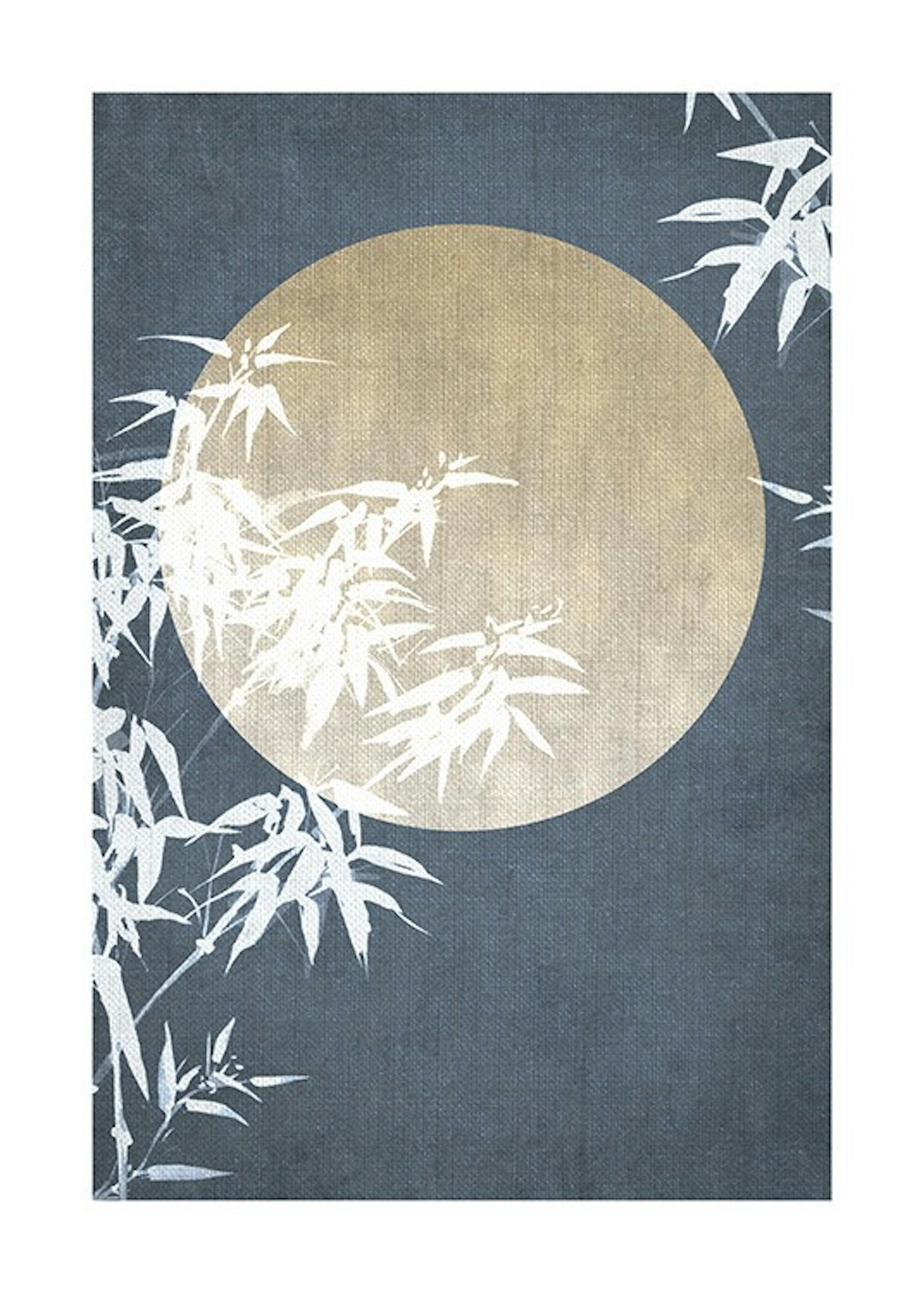 Moon Night Sky No2 Poster