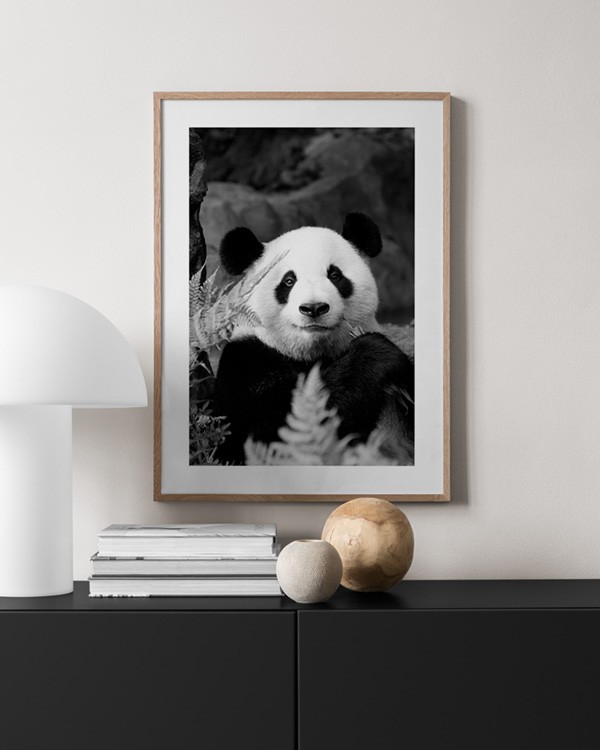 Panda Yoga | Art Print