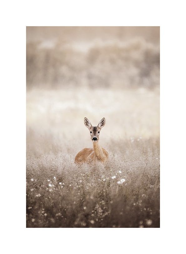 Roe Deer on a Field Poster (30x40 cm) - Bilder mit Tiermotiven