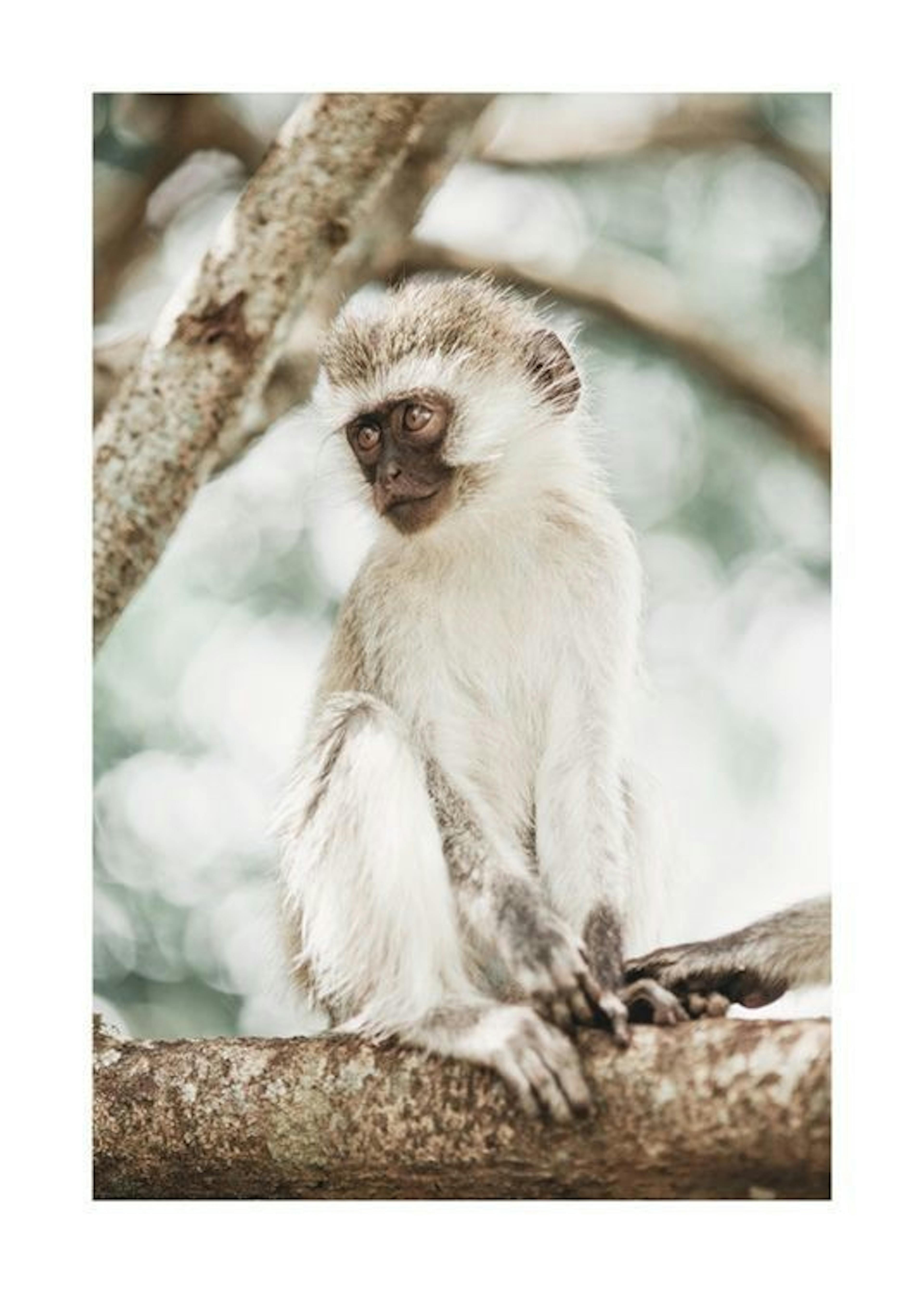 Monkey in a Tree Poster 0