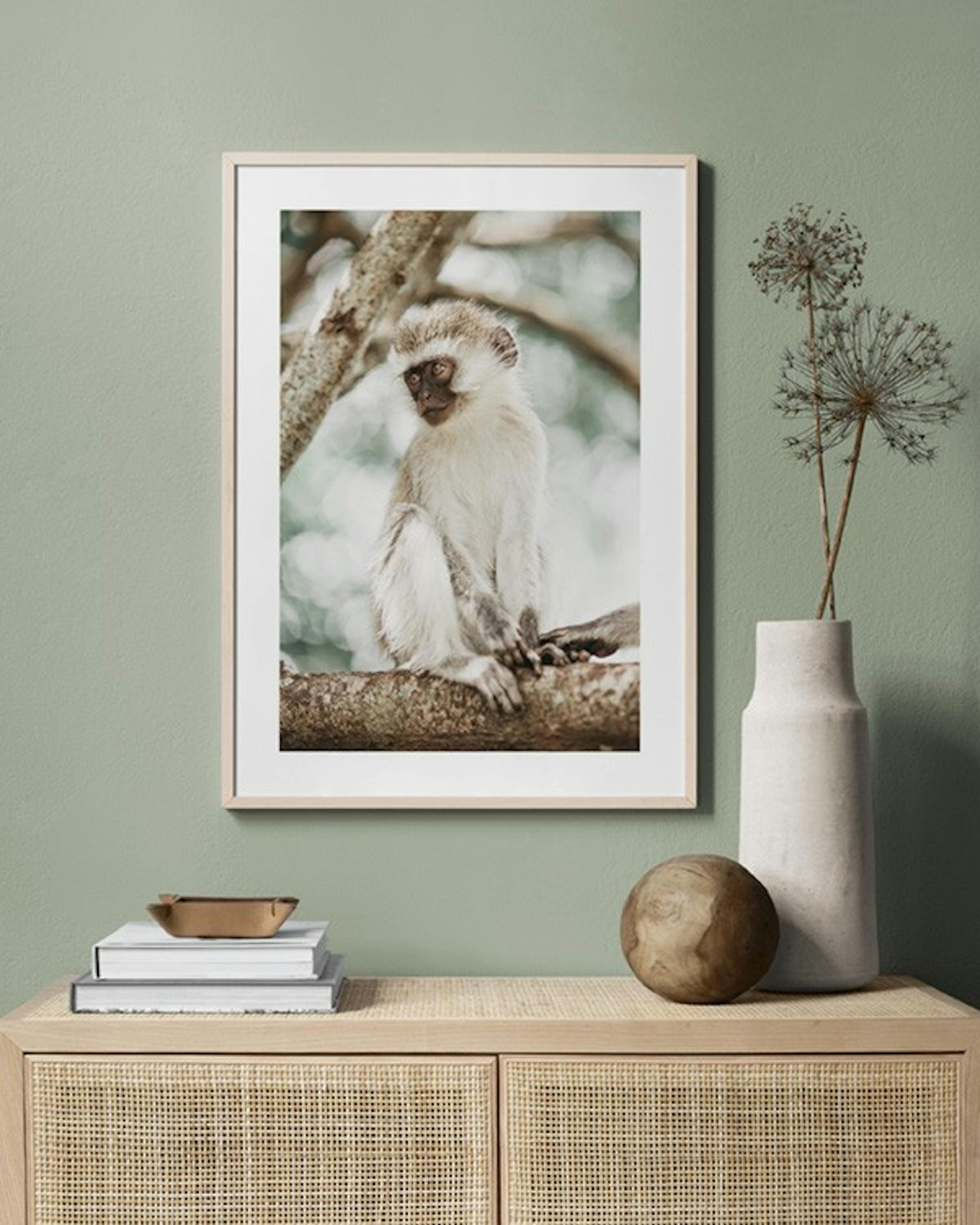 Monkey in a Tree Poster